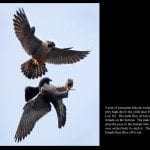 BEB 38_950_Beth_Balbierz_Photos_